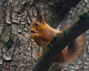 Similar image 22099429