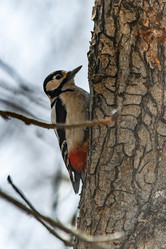 Similar image 22099430