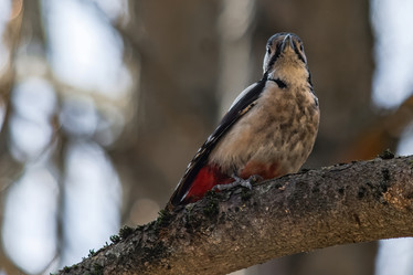 Similar image 22099431