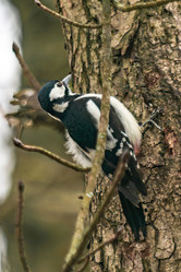 Similar image 22099434