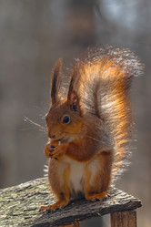 Similar image 22099437