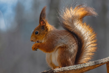 Similar image 22099438