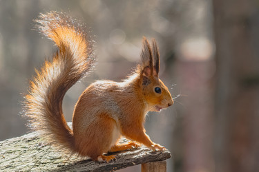 Similar image 22099439