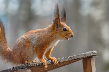 Similar image 22099440