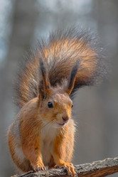 Similar image 22099442