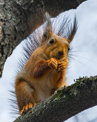 Similar image 22099443