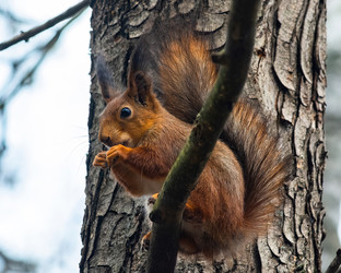 Similar image 22099444