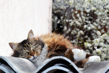 Similar image 22099188