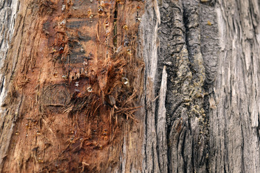 Similar image 22099189