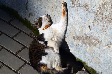 Similar image 22098910