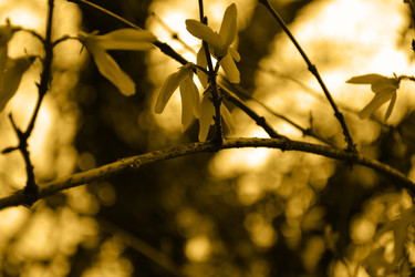 Similar image 22099190