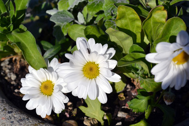 Similar image 22099191