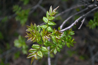 Similar image 22099193