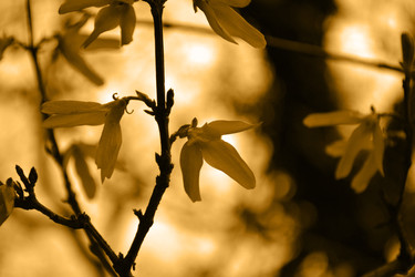 Similar image 22099194