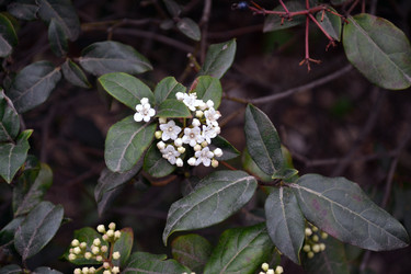 Similar image 22099196