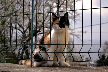 Similar image 22099197