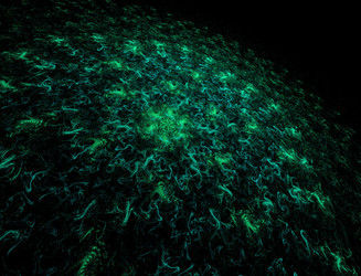 Similar image 22107002