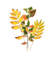 Similar image 22098997