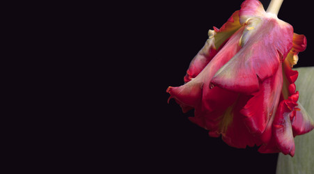 Similar image 22098998