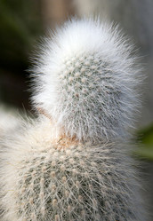 Similar image 22099001