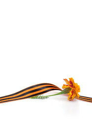 Similar image 22099002