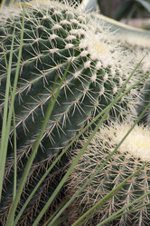 Similar image 22099006