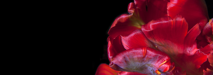 Similar image 22099010