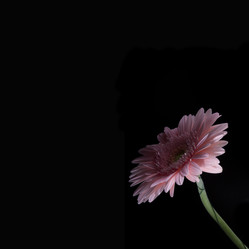 Similar image 22099020