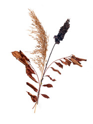 Similar image 22099024