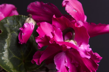 Similar image 22099041