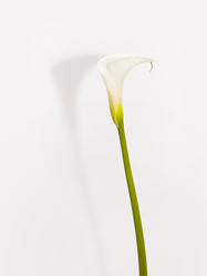 Similar image 22099042