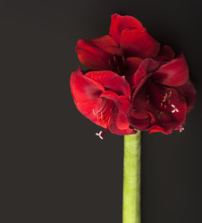 Similar image 22099043