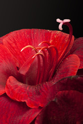 Similar image 22099046