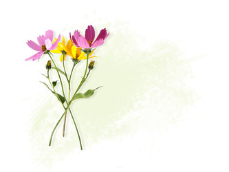 Similar image 22099048