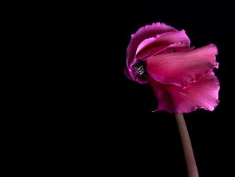 Similar image 22099050