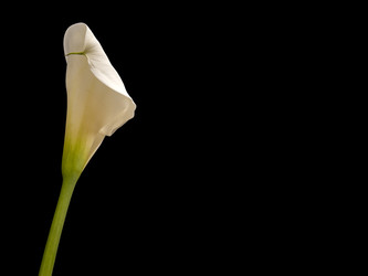 Similar image 22099064