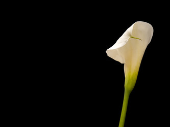 Similar image 22099066