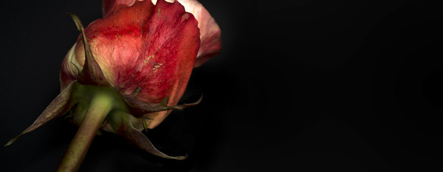 Similar image 22099068