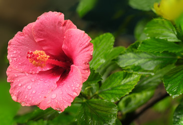 Similar image 22099089