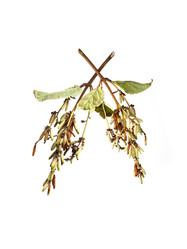 Similar image 22099090