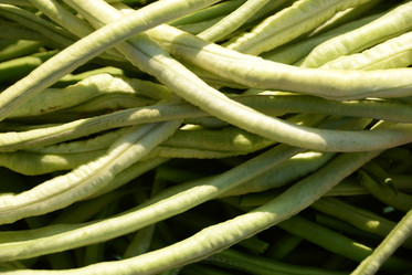 Similar image 22118179