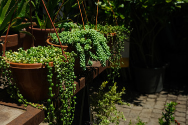 Similar image 22118180