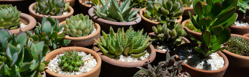 Similar image 22118182