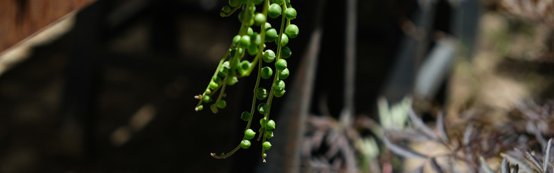 Similar image 22118186