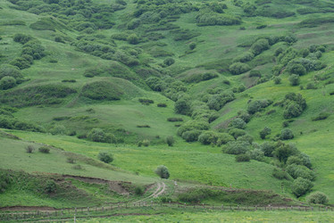 Similar image 22101145