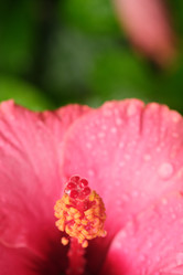 Similar image 22100169