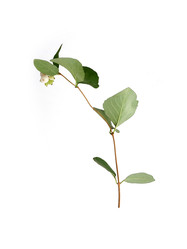 Similar image 22100170