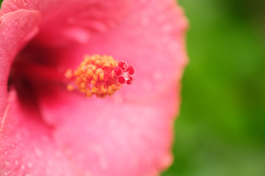 Similar image 22100171