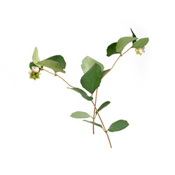 Similar image 22100172