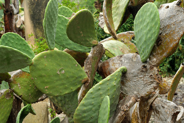 Similar image 22100175